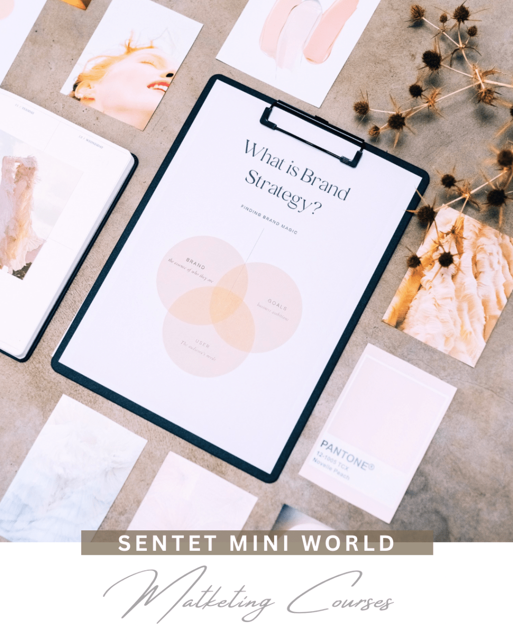 From Hobby to Hustle: Takeaway of Marketing&nbsp;Courses